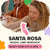 Mosaic Workshop Classes in Santa Rosa - Artmasterclass USA WestWorkshop